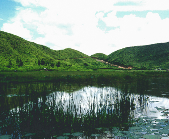 NEP0155 Imphal-Thoubel