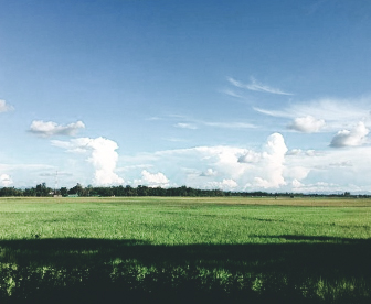 NEP0169 Imphal-Ukhrul-Andro-Thoubel