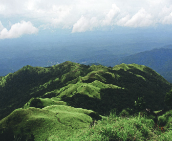NEP0190 Mysore-Coorg -Ooty