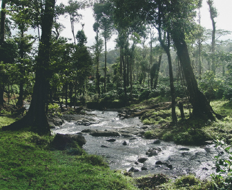 NEP0192 Bangalore-Mysore-Coorg-Ooty