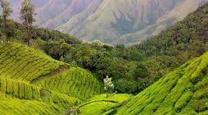 NEP0268   Nainital-Ranikhet -Kaushini