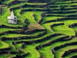 NES0156 Ranikhet Sightseeing 