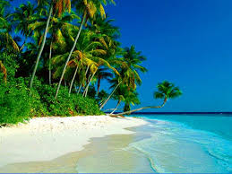 NES0313 Agonda Sightseeing