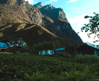 NEP0026 Gangtok - Lachung - Darjeeling