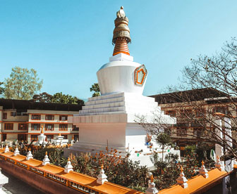 NEP0050 Gangtok - Pelling - Kalimpong - Darjeeling