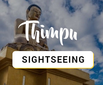 NES0015 Thimphu Sightseeing