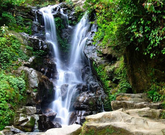 NEP0051 Gangtok - Pelling - Kalimpong - Darjeeling