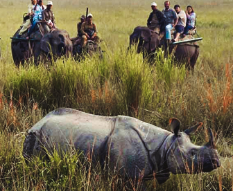 NEP0062 Guwahati - Cherrapunji - Laitlum - Mawlynnong - Kaziranga