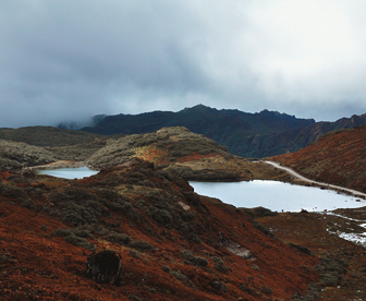 NEP0078 Guwahati - Tawang - Bumla - Kaziranga