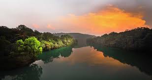 NES0079 Dandeli Sightseeing