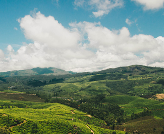 NEP0117  Munnar - Thekkady