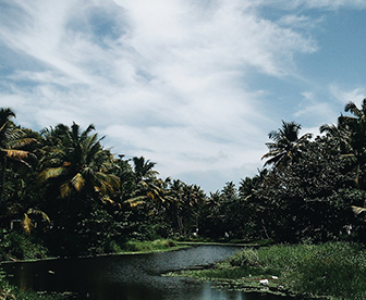 NEP0123 Munnar-Thekkady-Alleppey