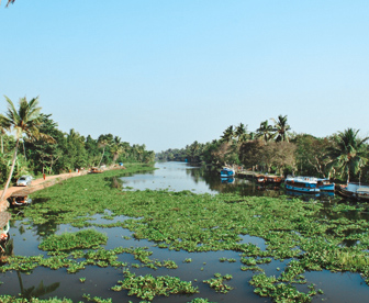 NEP0124 Cochin-Munnar-Thekkady- Kumarakom