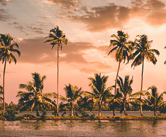 NEP0126 Munnar-Alleppey-Kovalam-kumarakom