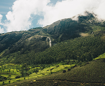 NEP0128 -Munnar-Thekkady-Alleppey-Mararikulam