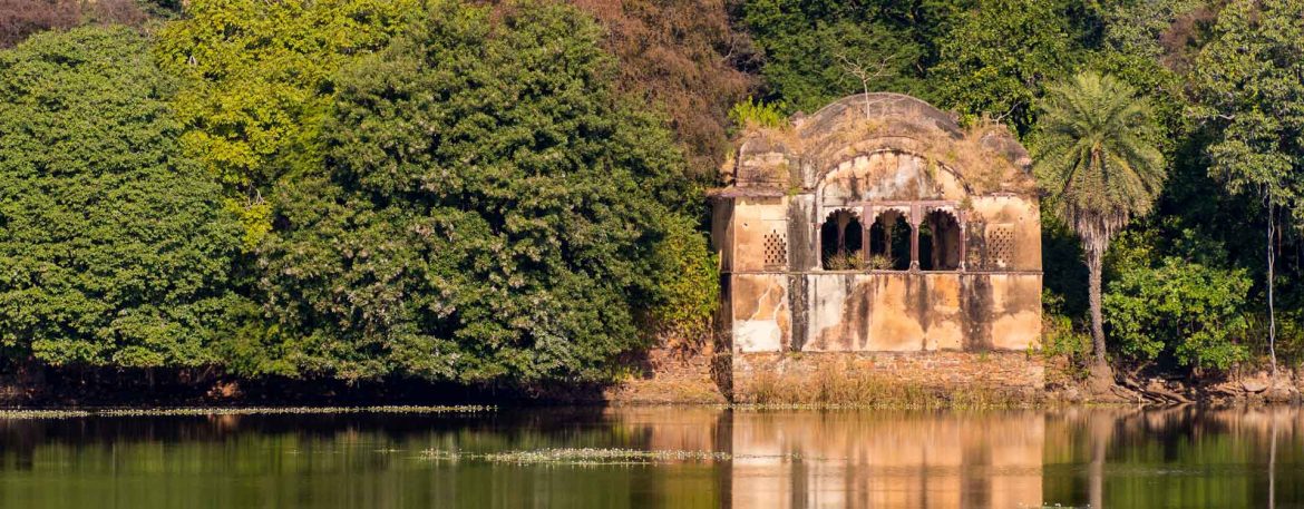 NEP0340 Ranthambore- sariska National Park-Jaipur