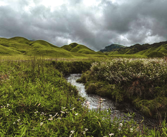 NEP0101 Kohima - Dzukou Valley