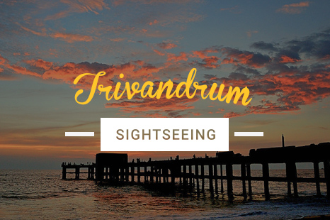 NES0027 Trivandrum Sightseeing