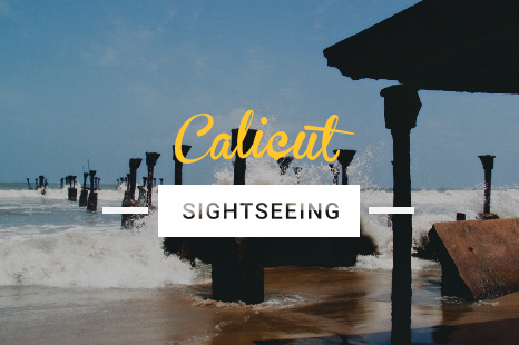 NES0024 Calicut Sightseeing