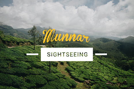 NES0019 Munnar Sightseeing
